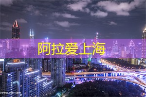 每一口都是故事——上海茶庄的茶款